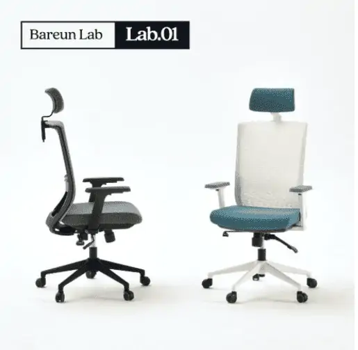 Product Image of the 바른자세연구소 LAB01 컴퓨터 책상 의자 